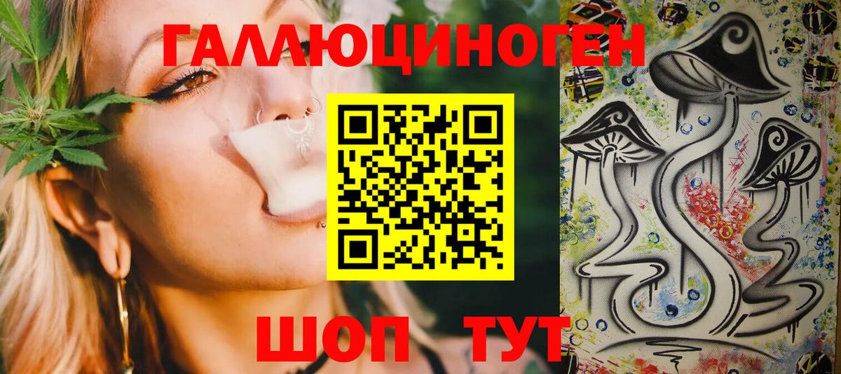 Галлюциногенные грибы Psilocybe Апшеронск