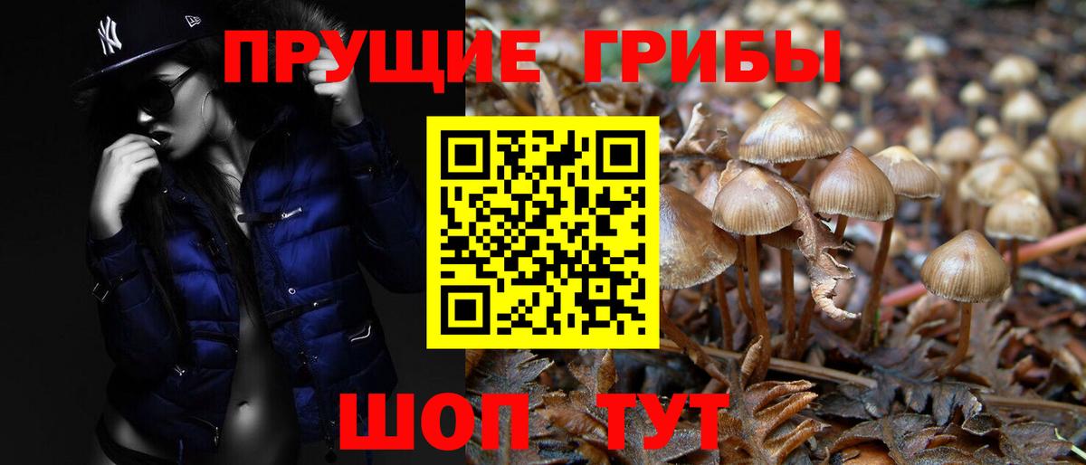 цены наркотик  Галлюциногенные грибы GOLDEN TEACHER  Вход с VPN  Апшеронск 
